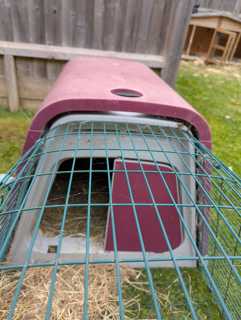 Omlet eglu rabbit hutch & run (2m)