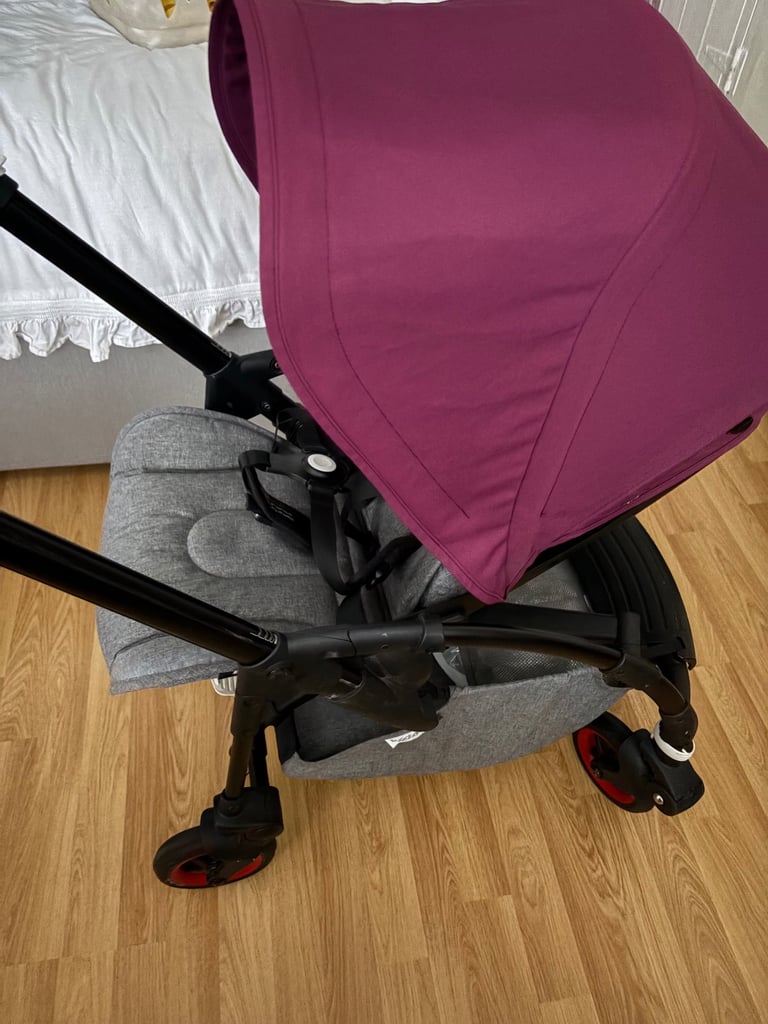 Bugaboo bee