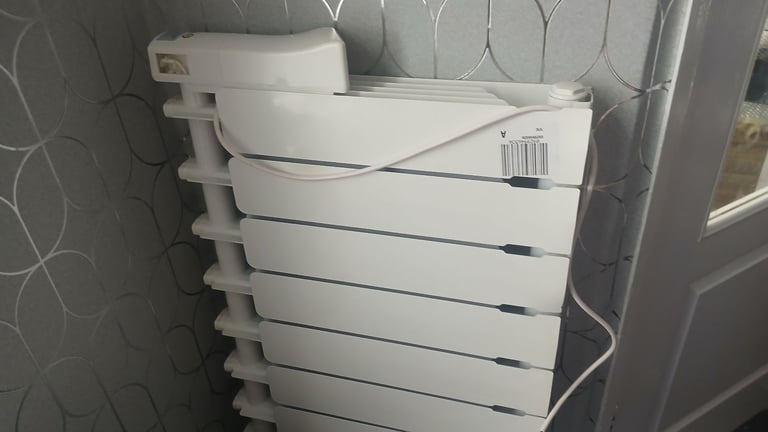 Zehnder group vaux edingny Electric Radiator 