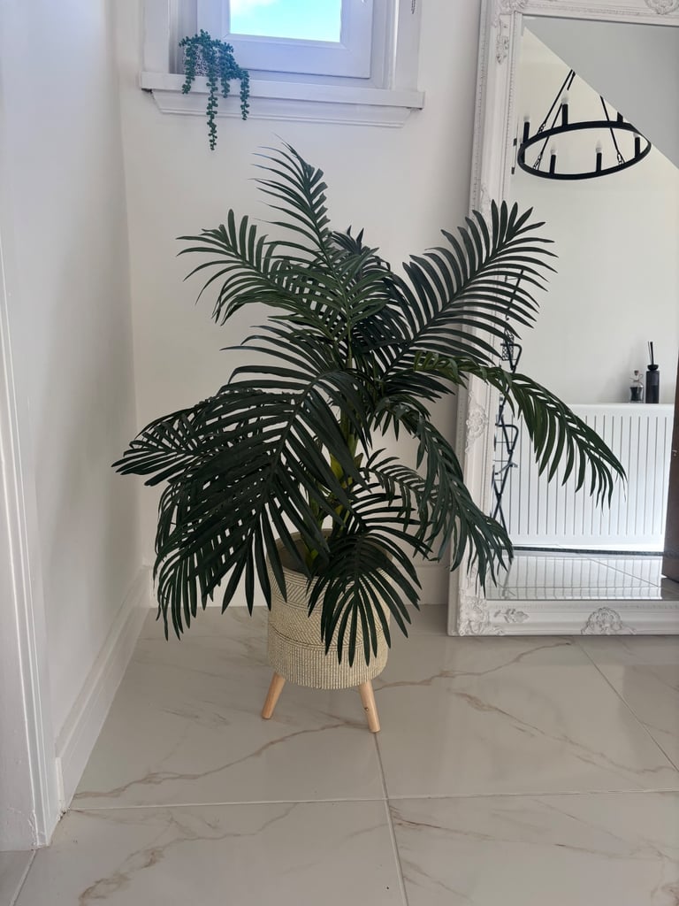 Plant and planter 
