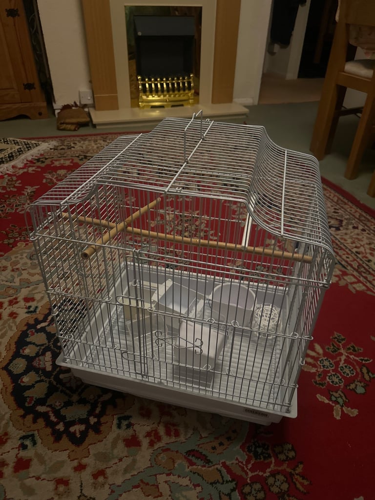 Birds cage
