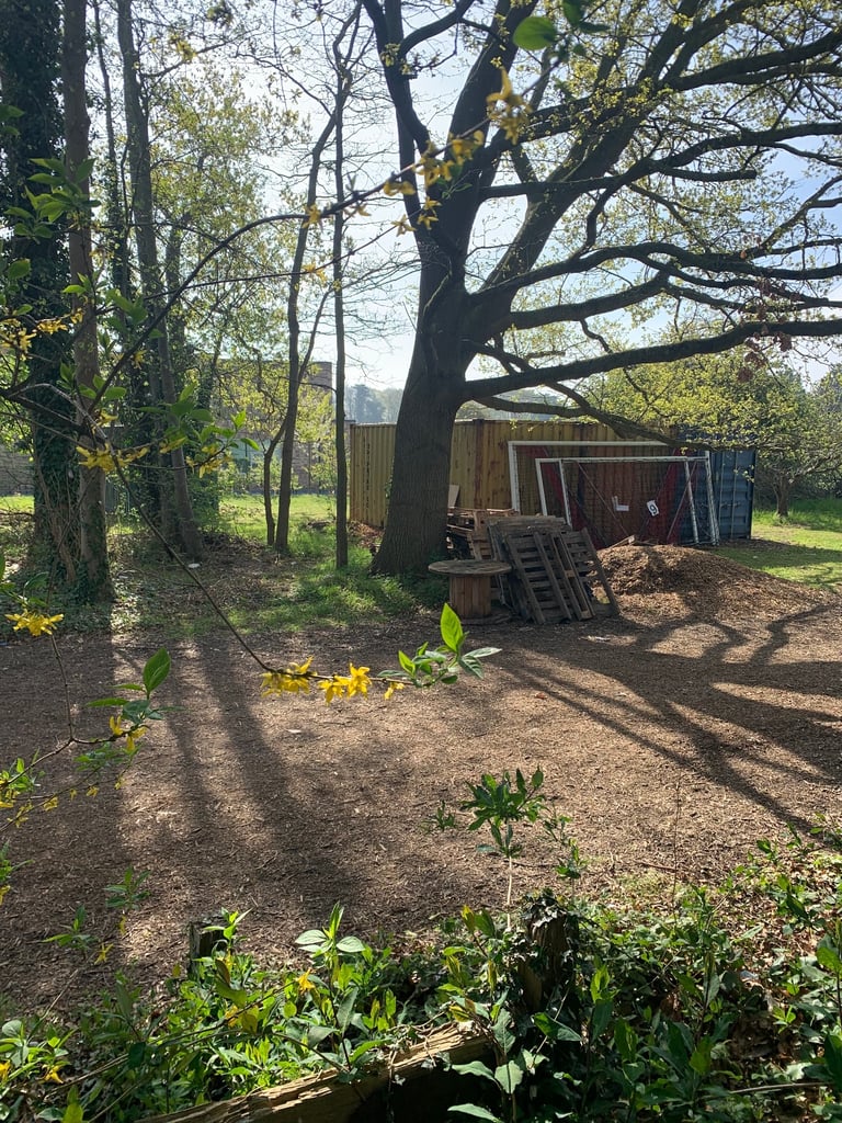 Free Pallets