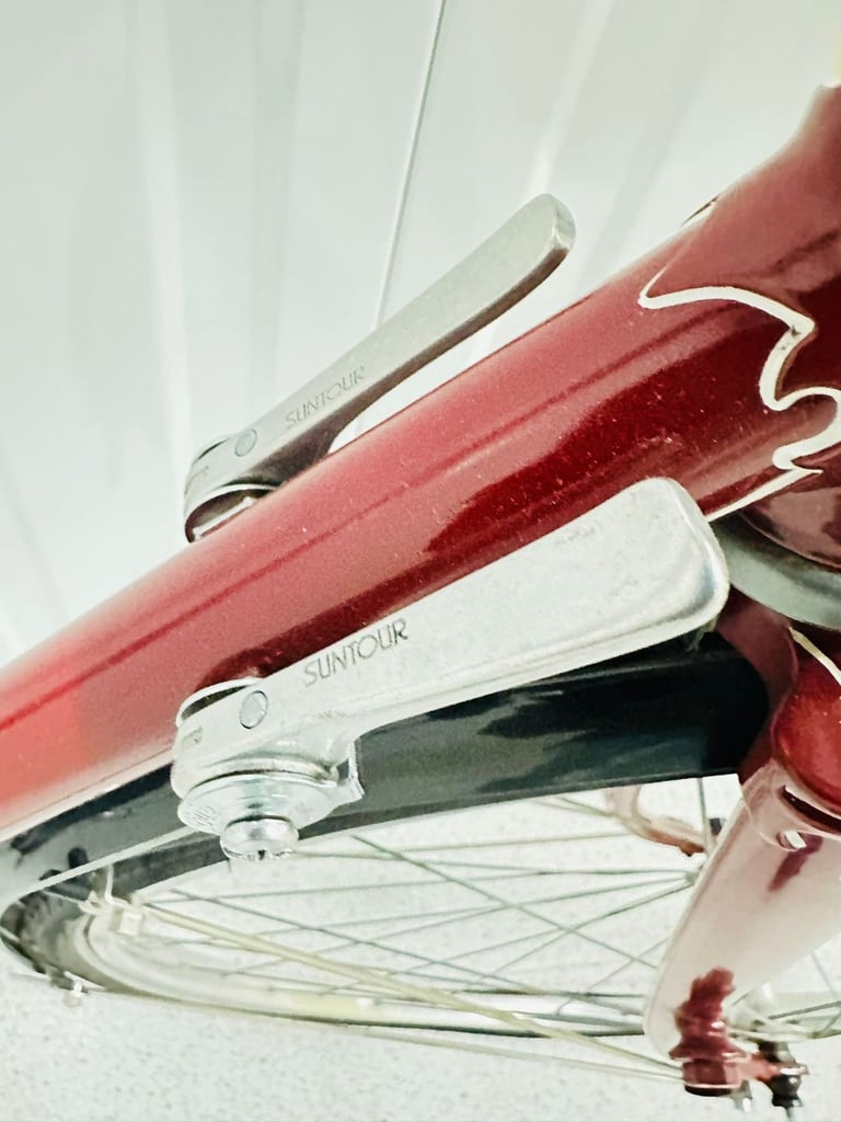Rare Vintage CARPAINTER Size/58 cm Stunning Lugwork Road Bike