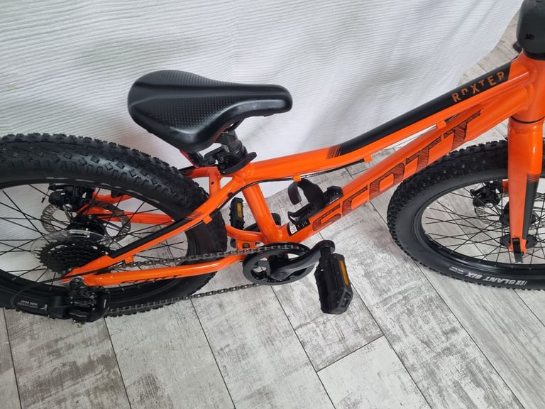 Scott Roxter bike 20"wheels
