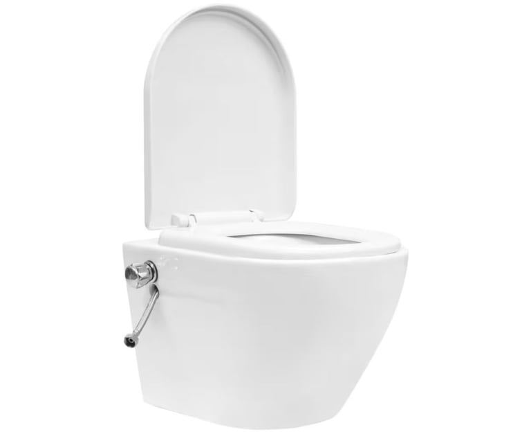 Bidet toilet