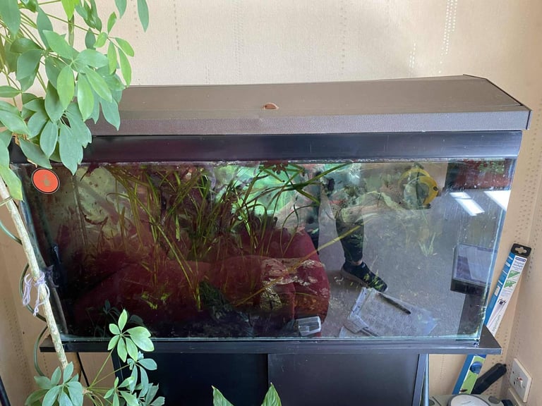 image for Fish tank