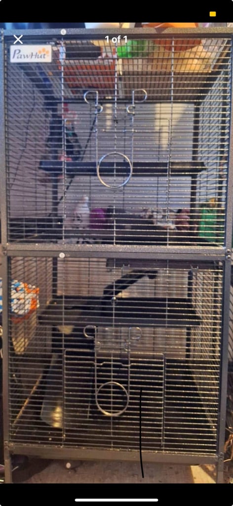 Rat cage 