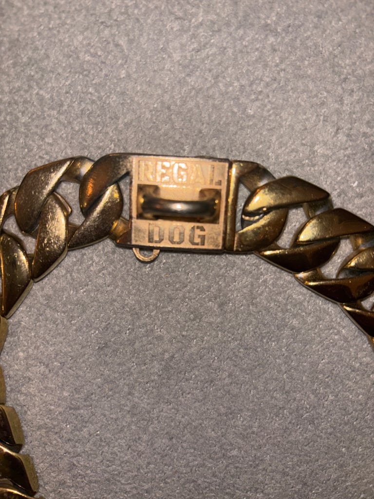 Dog collar Gold Chain 