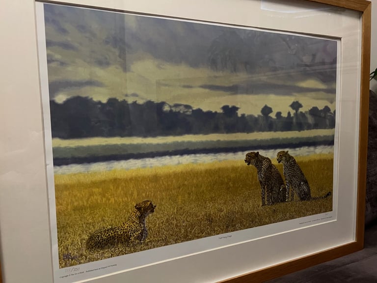 Large limited edition signed framed wildlife print picture