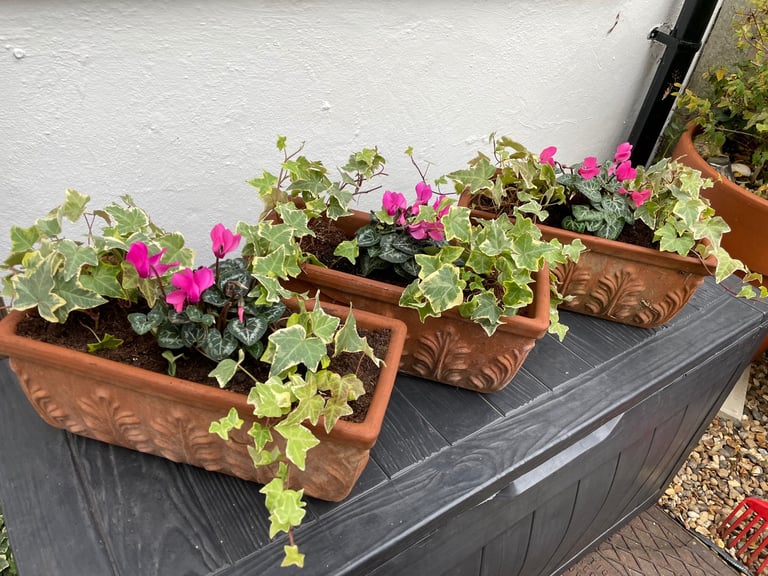 image for Planters £25