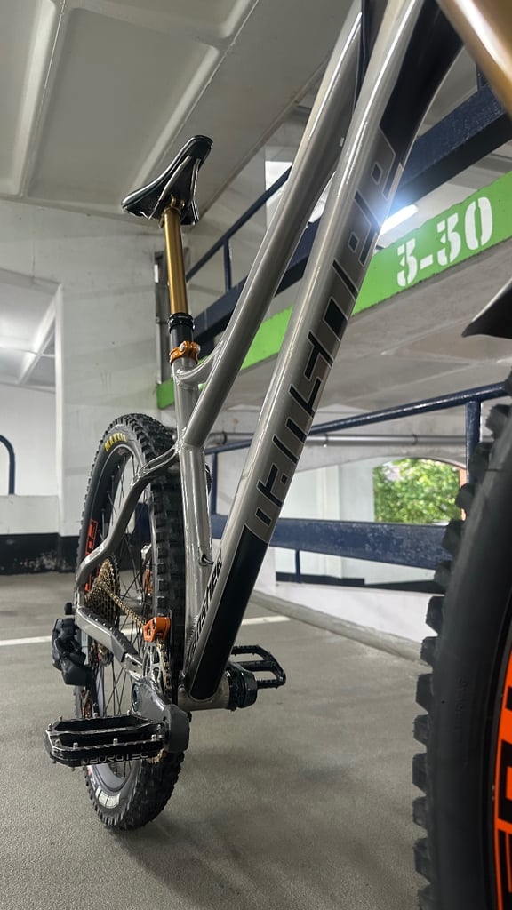 Banshee paradox v3 custom build (large) open to reasonable offers 