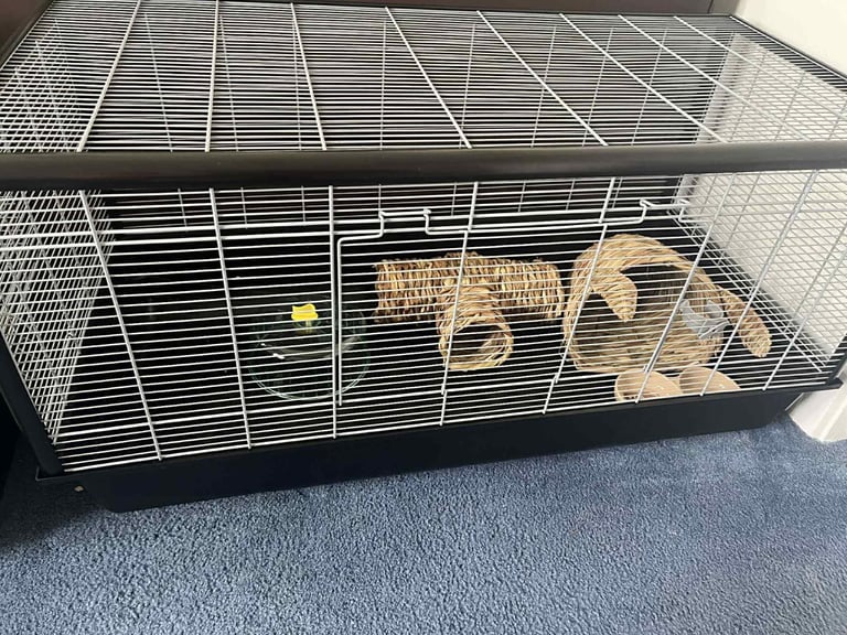 Month old large savic hamster cage 100cm was 80