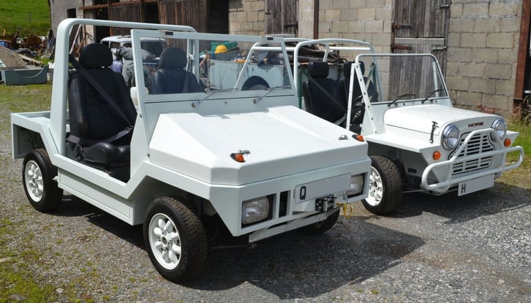 Autobarn 'Gecko' Mini Moke Style Utility 'Kit Car' 1986 Project : free delivery*