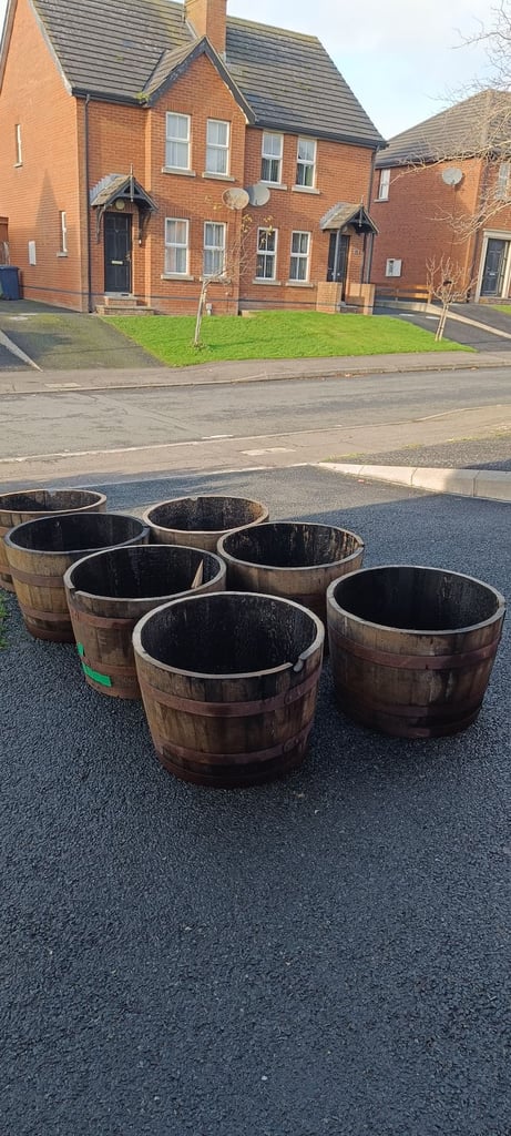 Oak barrel planters good for Christmas tree £25 each.