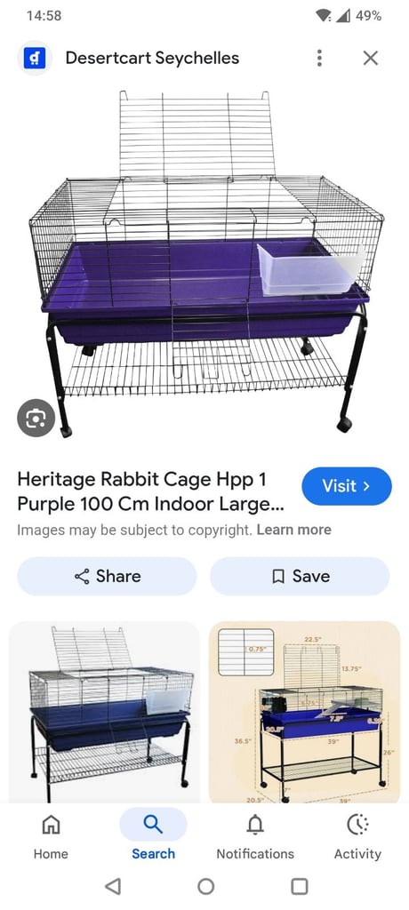 Purple heritage guineapigs cage 