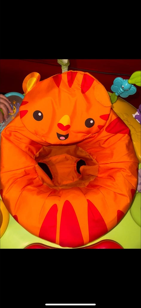 Fisher price jumperoo