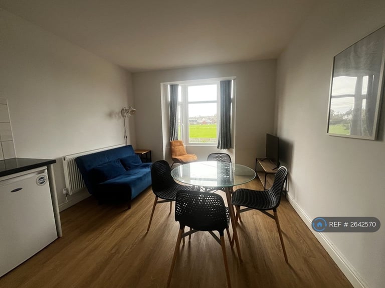 1 bedroom flat in Newport Road, Cardiff, CF24 (1 bed) (#2642570)
