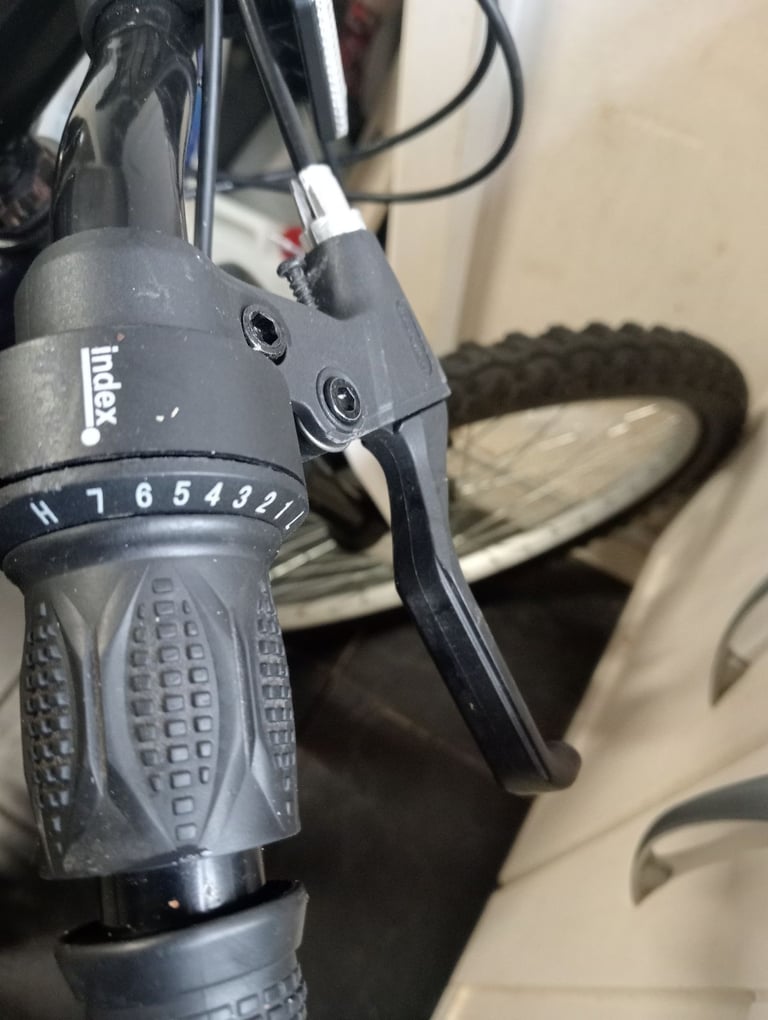 Arden Peak Mountain Bike