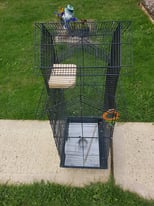 Birds cage in lovely black big size