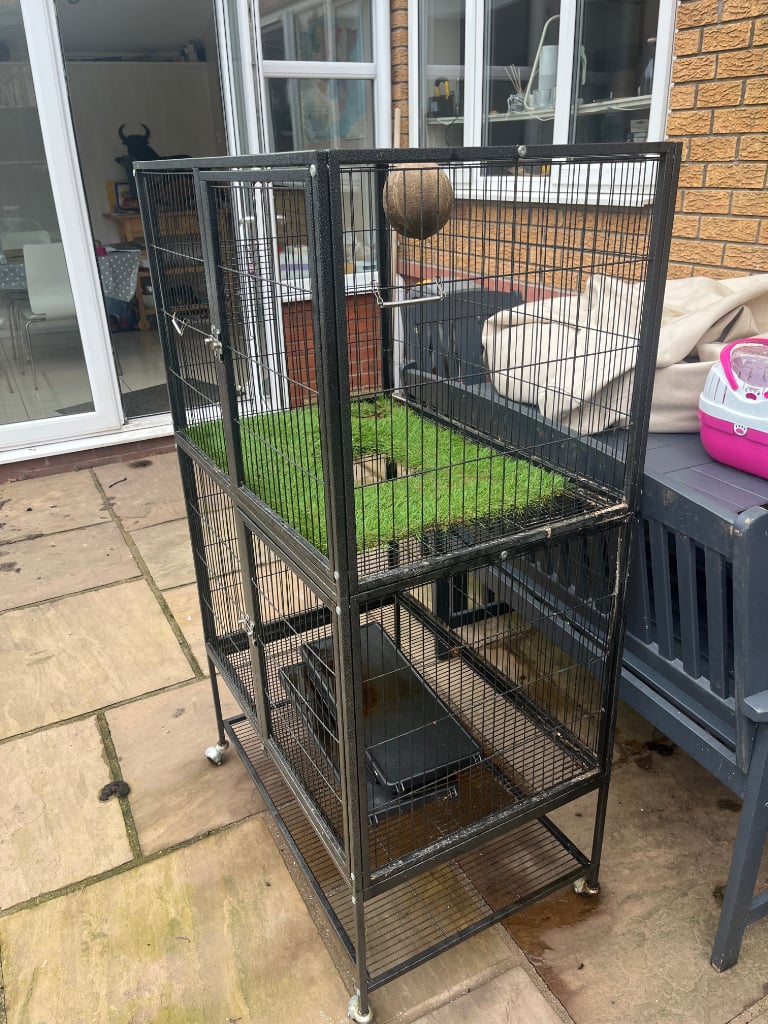 Used ferret cage sales for sale