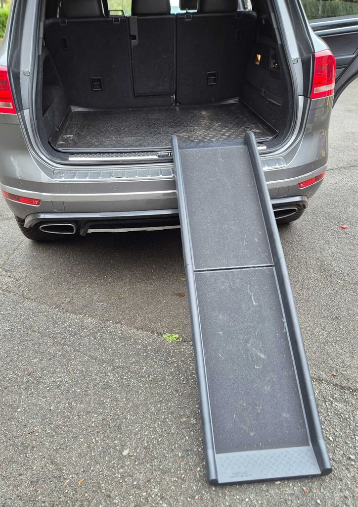 Folding dog ramp
