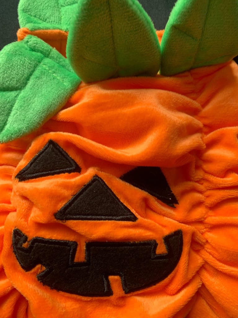 Halloween Baby & Small Dog Pumpkin Costumes 