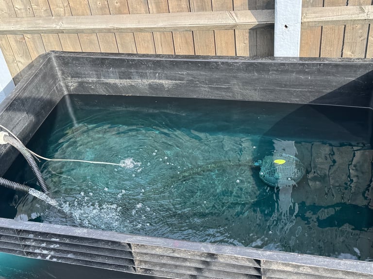 fish tank with pump filter and food 