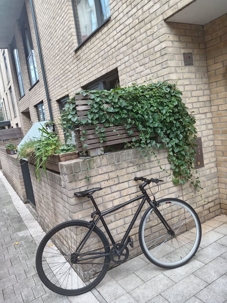 image for Bike for sale 