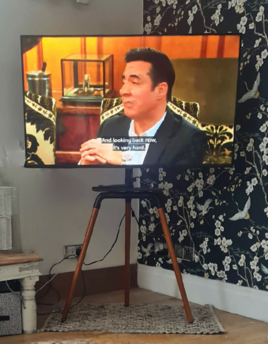 image for TV EASEL STAND  (swivel style)