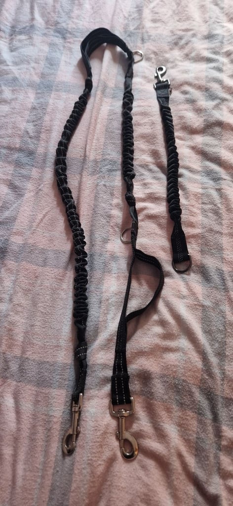Double dog walking lead 