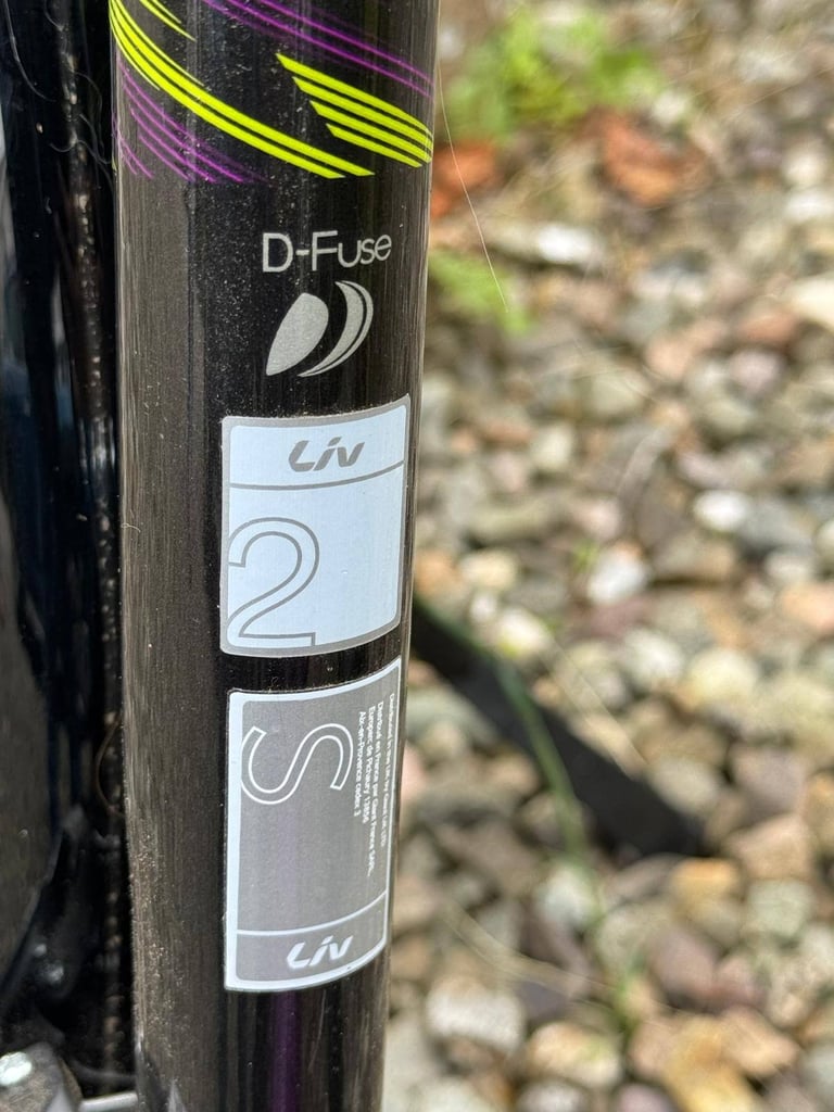 Giant LIV Thrive 2 disc women 2018 road bike