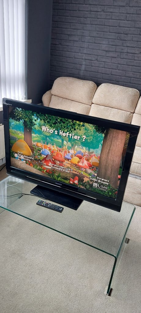 40 inch Sony Freeview Tv