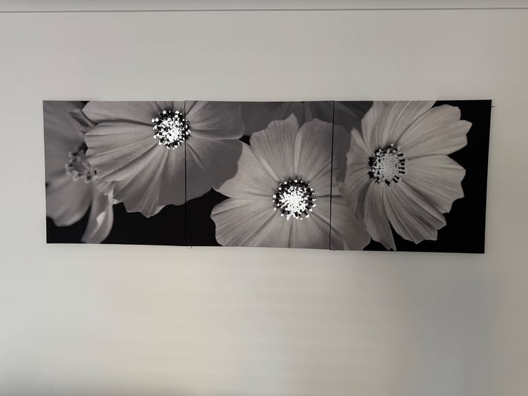 image for Wall art set of 3 pictures 