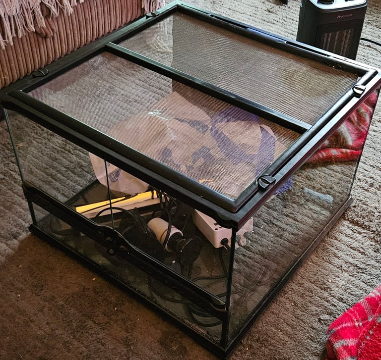 Small lizard or snake vivarium 