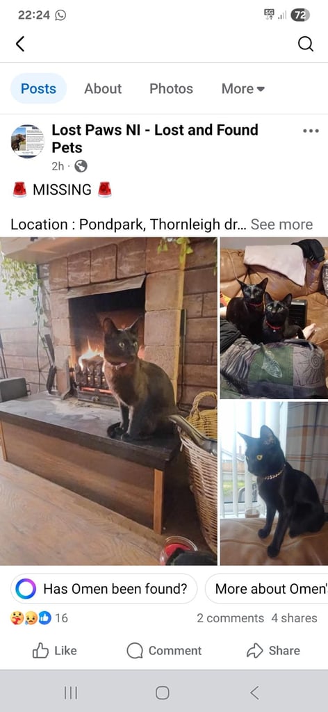 MISSING*** PONDPARK**