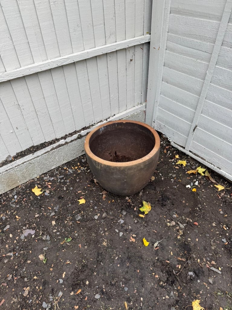 image for Large terracotta pot