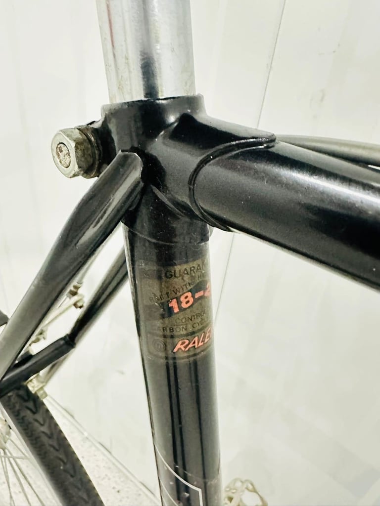 RALEIGH RECORD Size/L Fully Serviced 10 Speed Road Bike WARRANTY