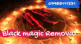 Astrologer vashikaran love spell❤️EXlove back Black magic removal evil