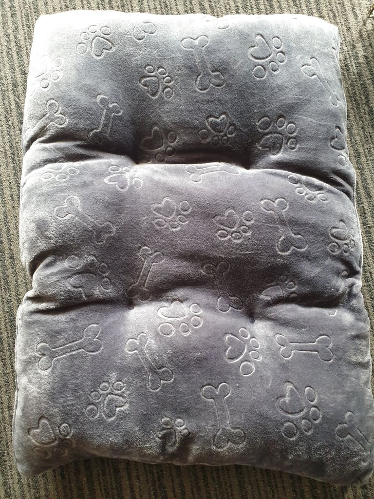 Dog bed