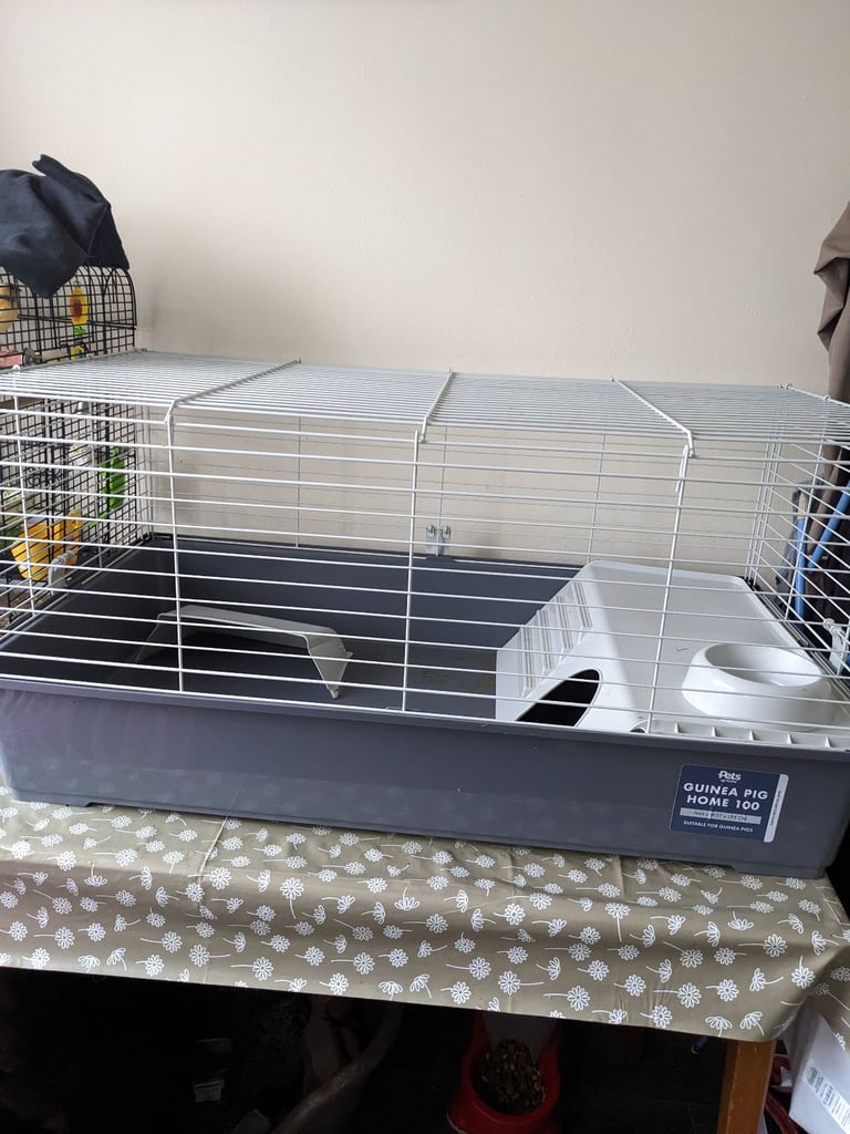 Guinea pig / rabbit indoor cage 