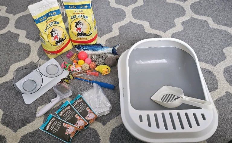 Cat/Kitten Litter tray & Accessories