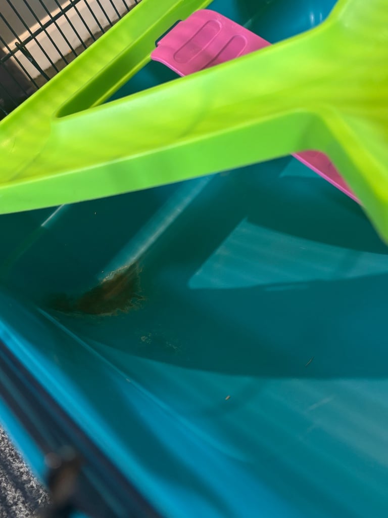 Free hamster cage 