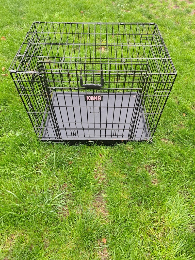 Medium 2 door Kong dog crate