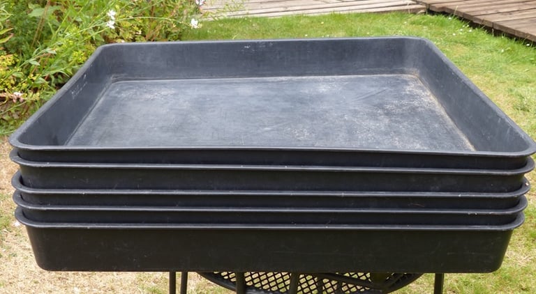 image for Plastic trays for greenhouse or cold frame