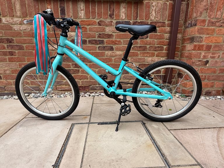 Stunning Python girls bike