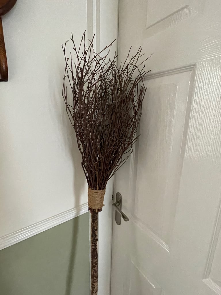Halloween. Witches Broom 