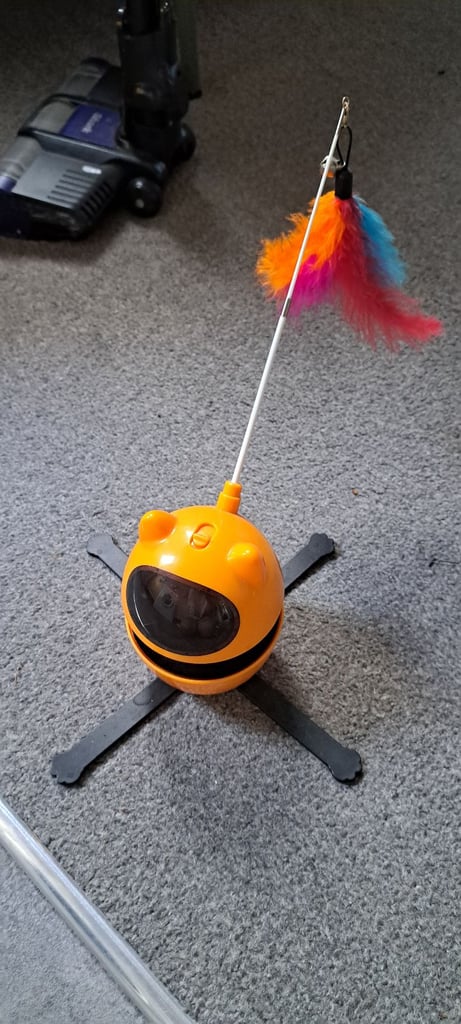 image for Free cat toy