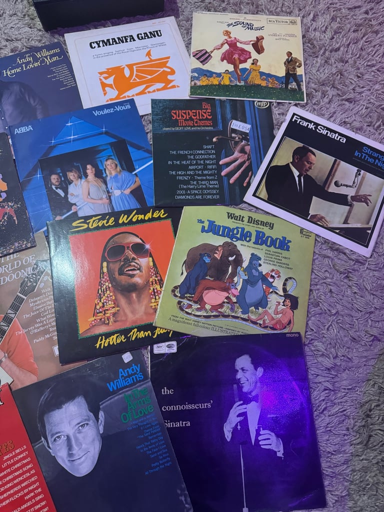 image for Vinyl Record collection + Box and Key 