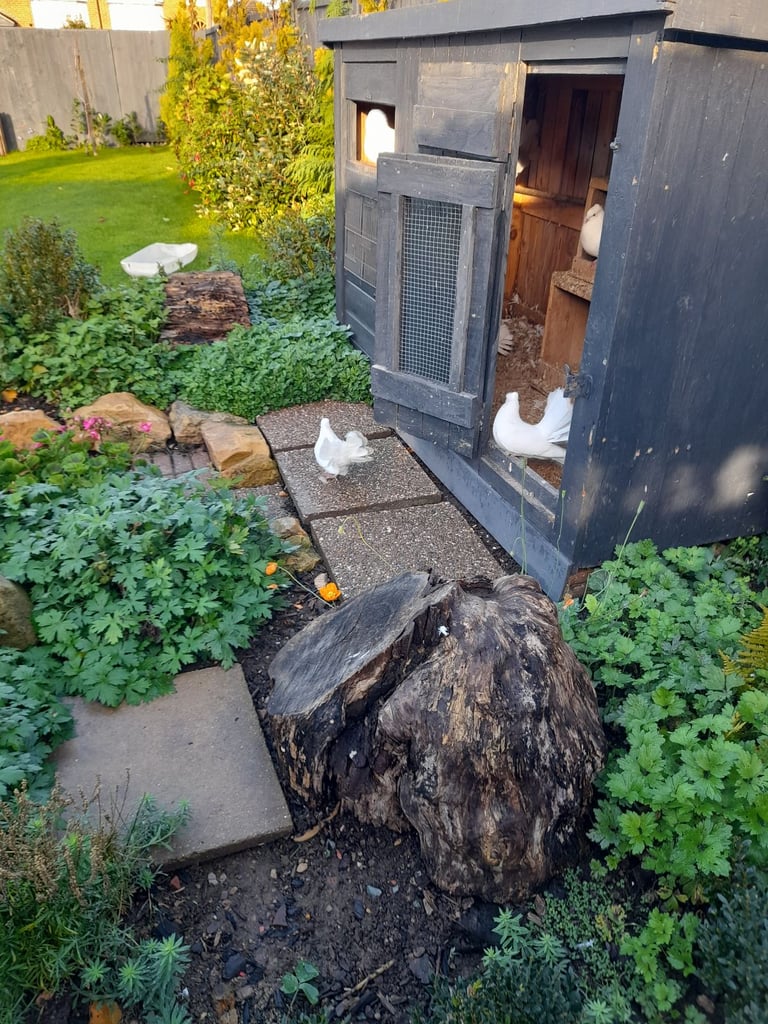 Aviary Dismantles for tranporting