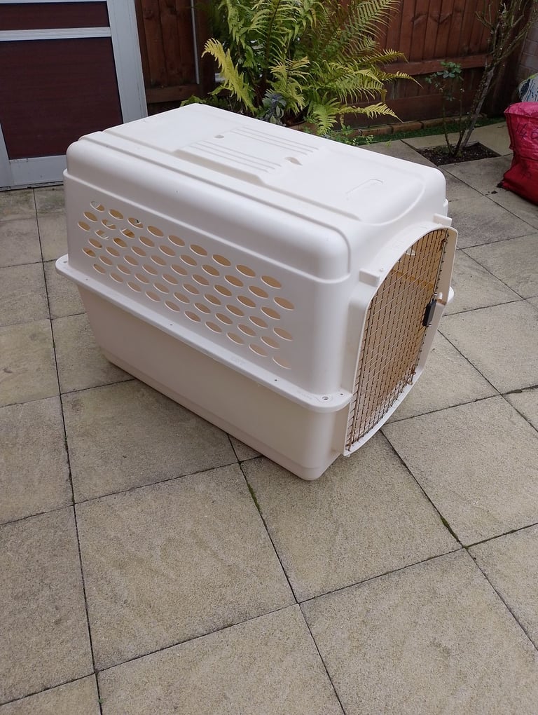 Medium to large outdoor kennel
